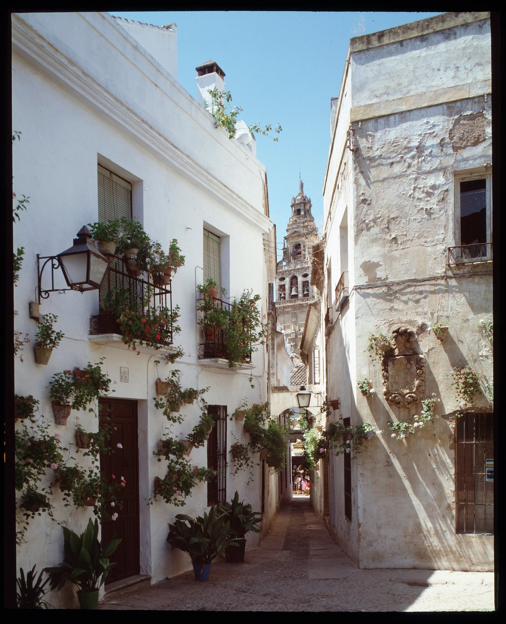 Widok na minaret (dzwonnicę) Wielkiego Meczetu Omajjadów (Mezquita), obecnie katedrę, od Calle de los flores”””, Cordoba Spain”” (Widok na dzwonnicę lub minaret meczetu, Katedra (Wielki Meczet) w Kordobie od ulicy „” calle de los flores” autorstwa School Spanish