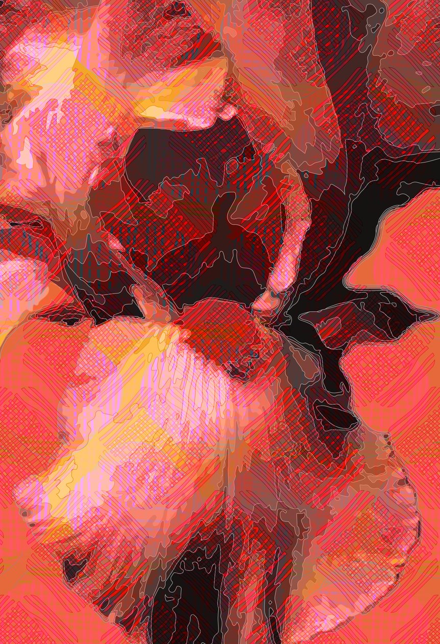 Pomarańczowa tęczówka (cyfrowa) autorstwa Scott J. Davis