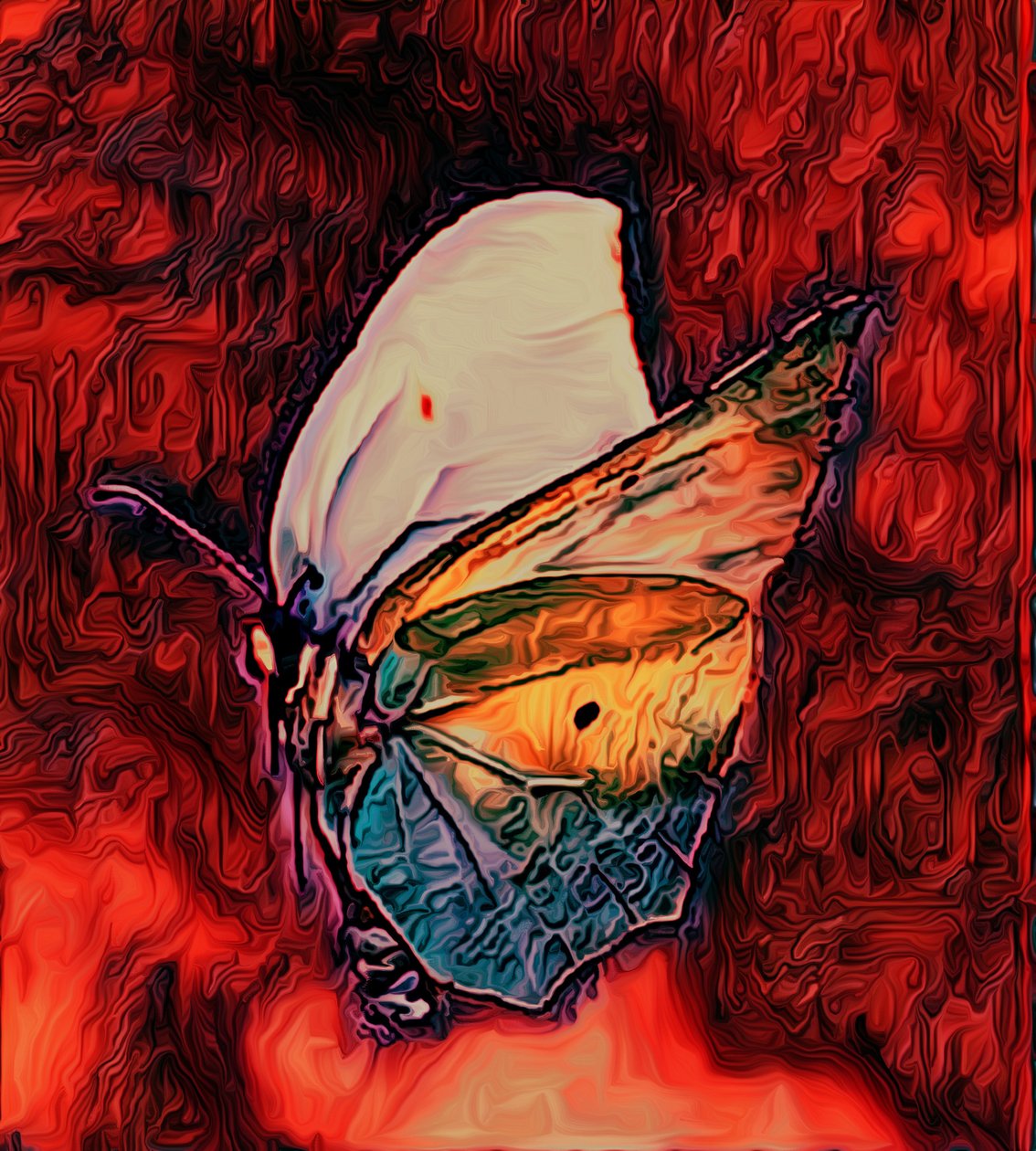 Butterfly, 2021 autorstwa Scott J. Davis