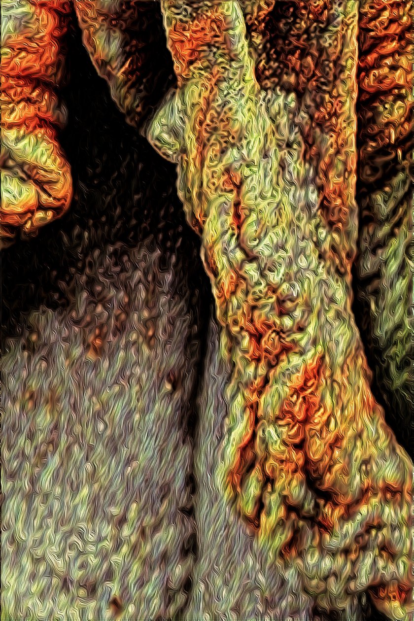 Pnia drzewa, 2021 (cyfrowy) autorstwa Scott J. Davis
