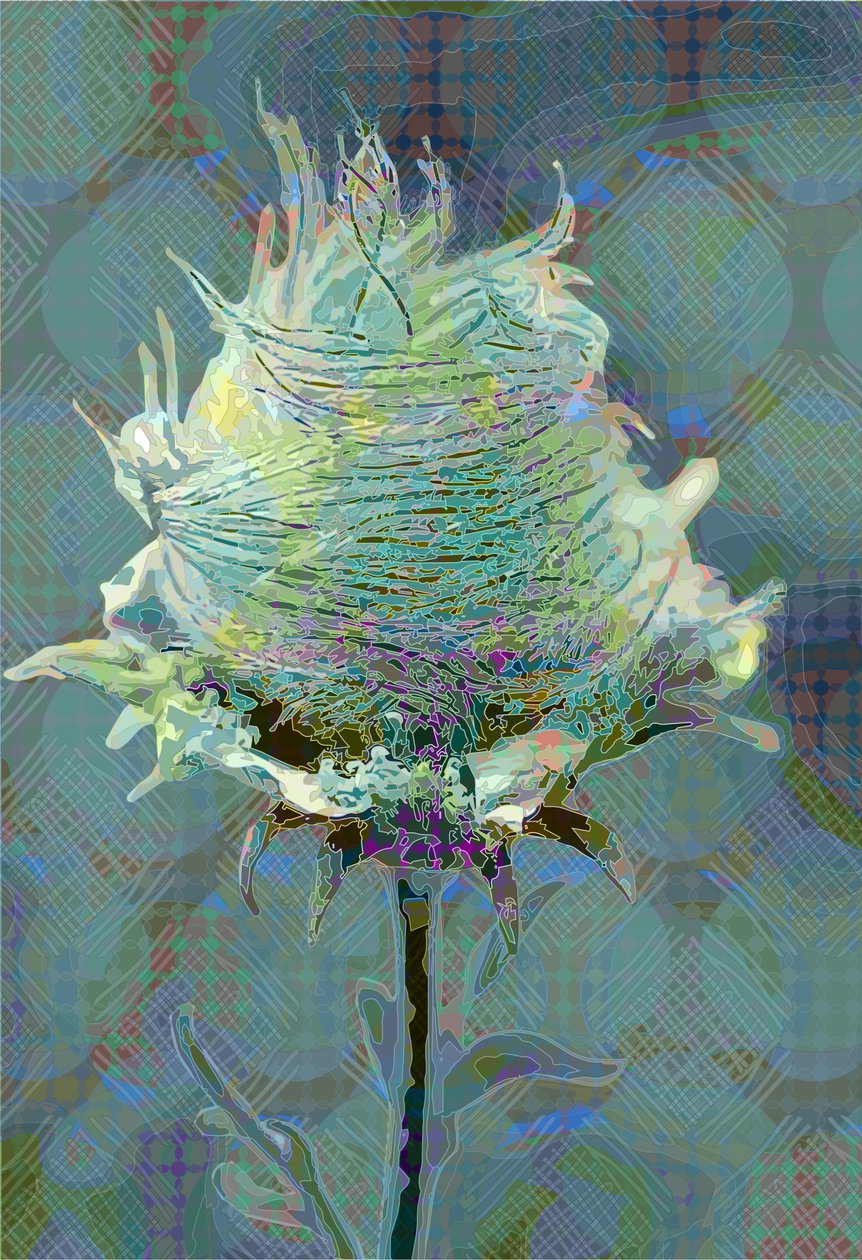 Drewniane Avens3, 2019 autorstwa Scott J. Davis