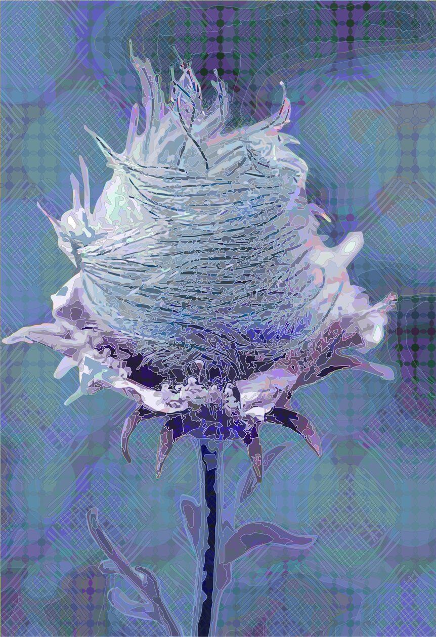 Drewniane Avens4, 2019 autorstwa Scott J. Davis