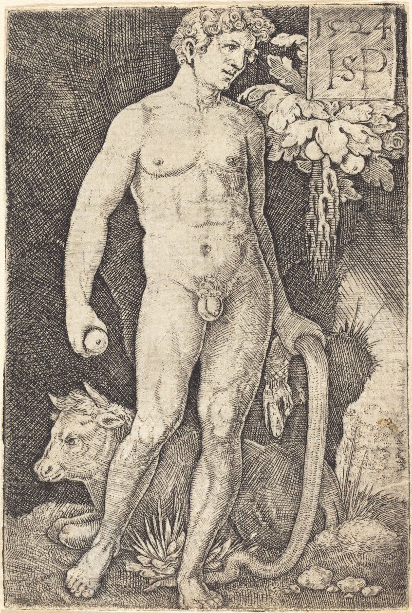 Adam Stojący autorstwa Sebald Beham