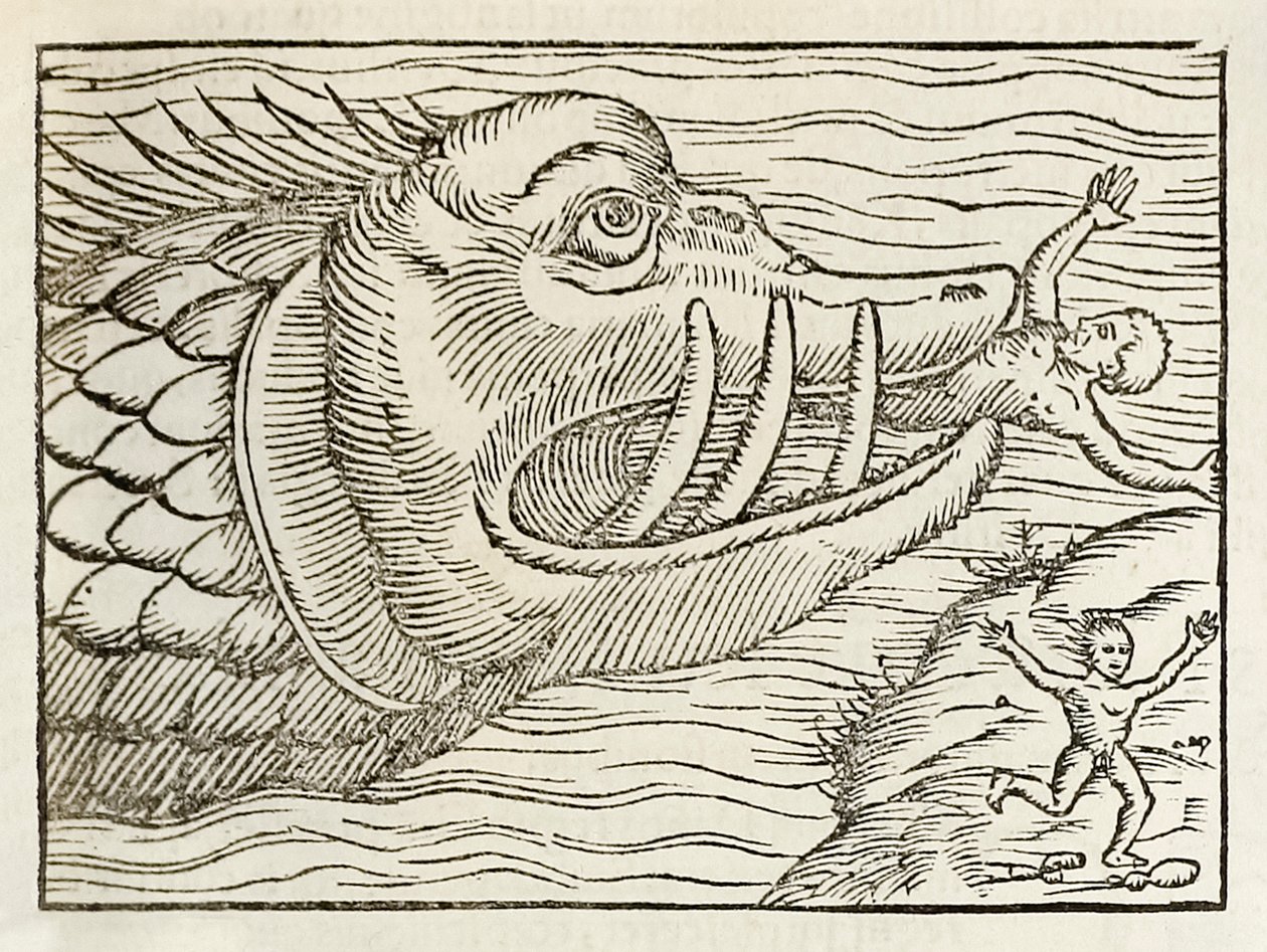Potworny wieloryb pożerający ludzi, z wydania Kosmografii z 1550 roku autorstwa Sebastiana Munster autorstwa Sebastian Munster