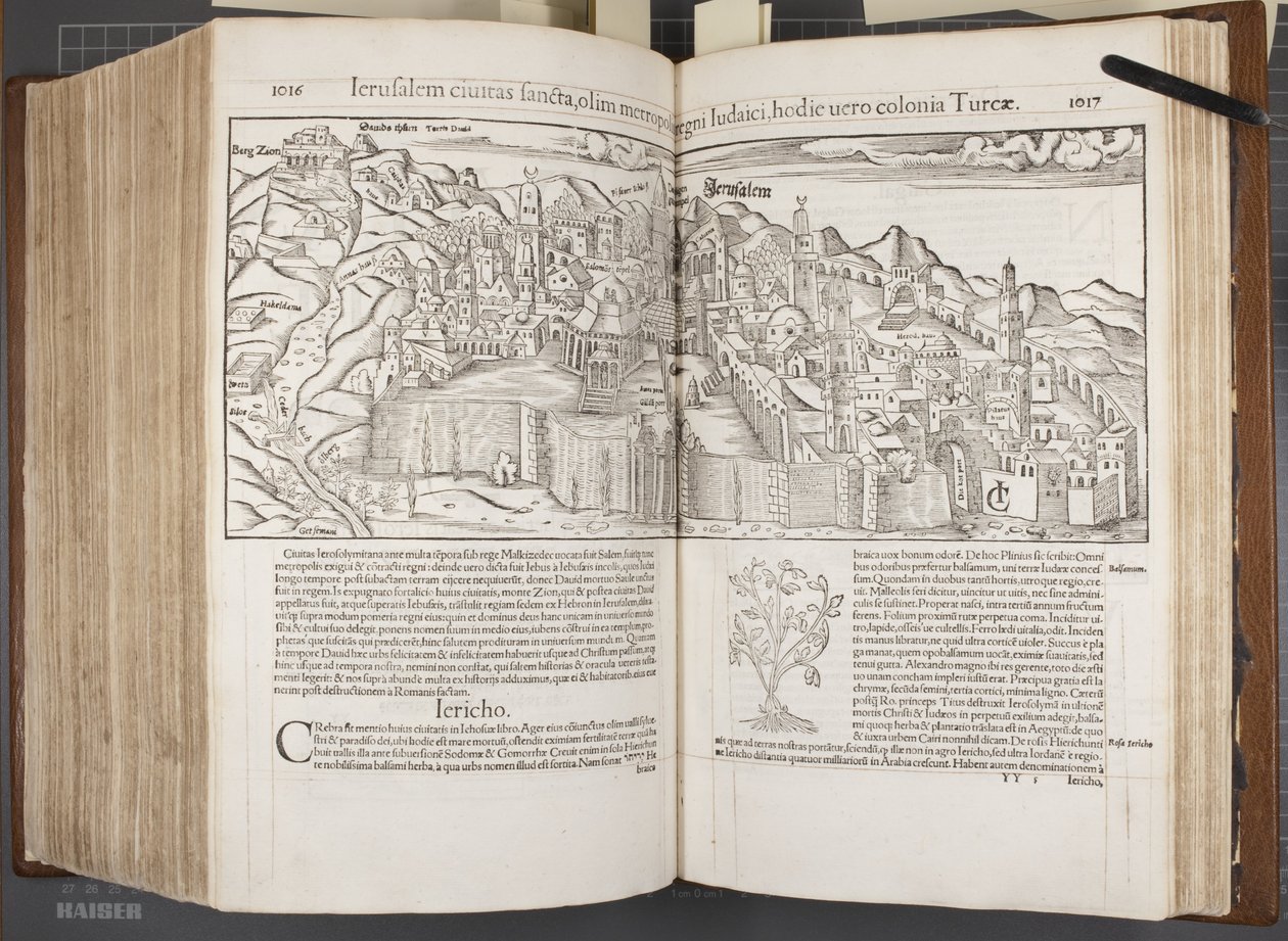 Kosmografia, Fol 1016-1017, 1544 autorstwa Sebastian Munster