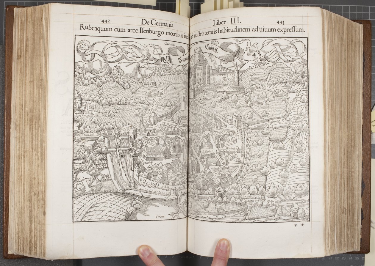Kosmografia, Fols 442-443 autorstwa Sebastian Munster