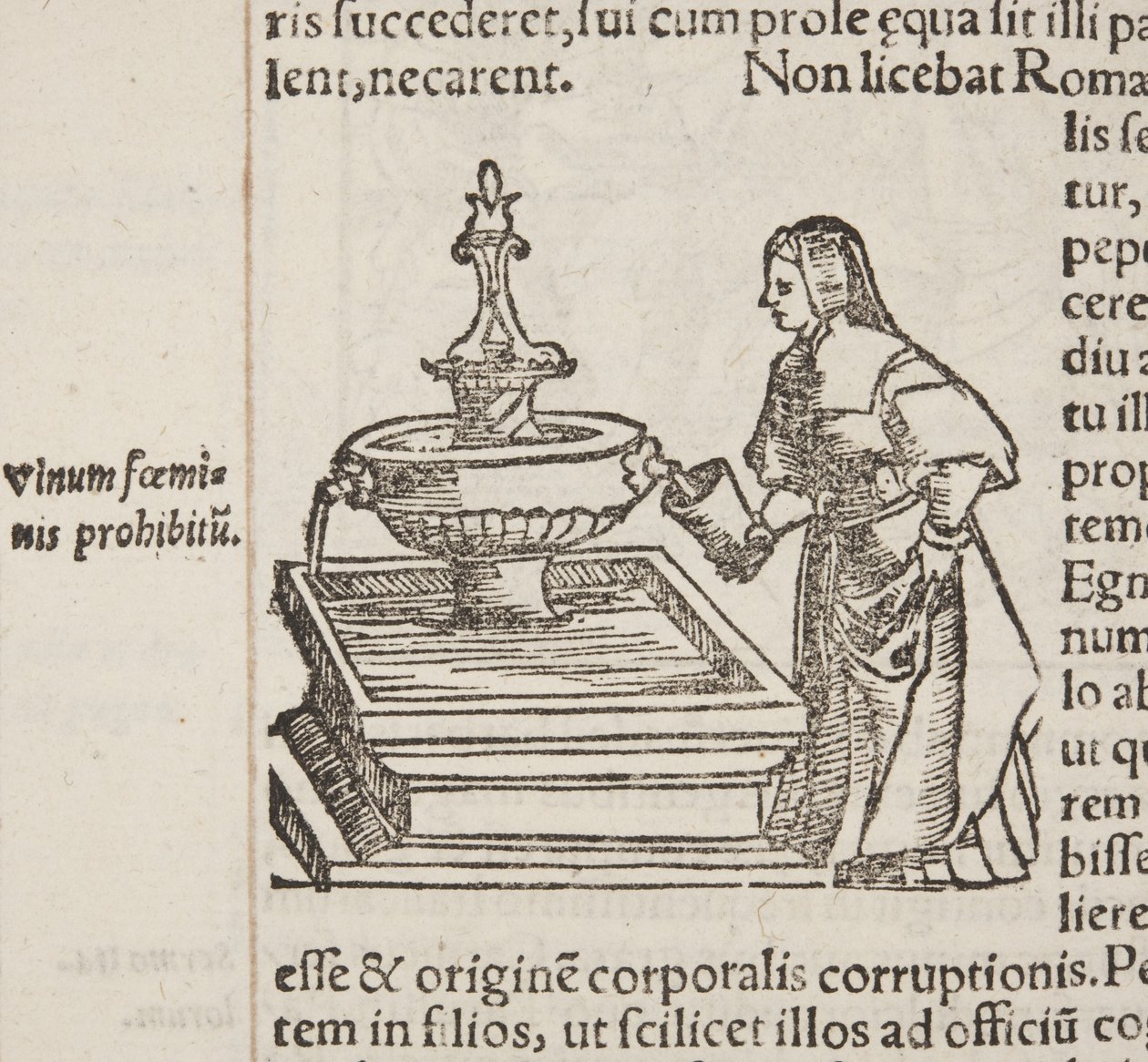 Kosmografia, detal Fol 202 autorstwa Sebastian Munster