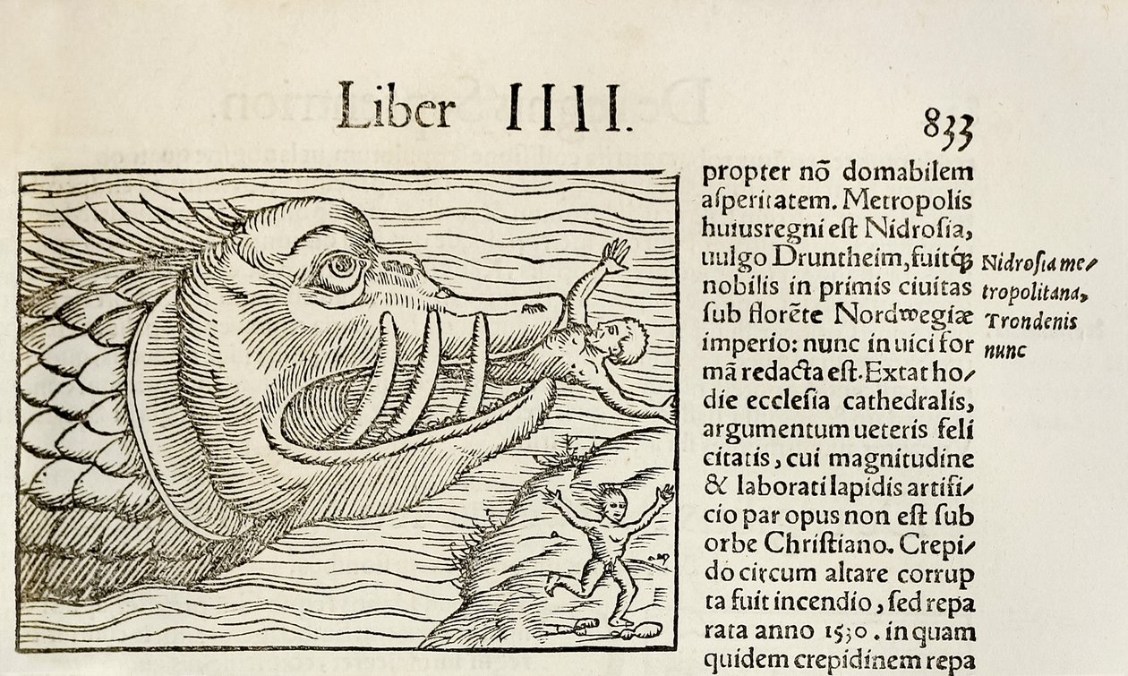 Wieloryb potworny pożerający ludzi, z wydania „Cosmographia” Sebastiana Munstera z 1550 r. (drzewryt) autorstwa Sebastian Munster