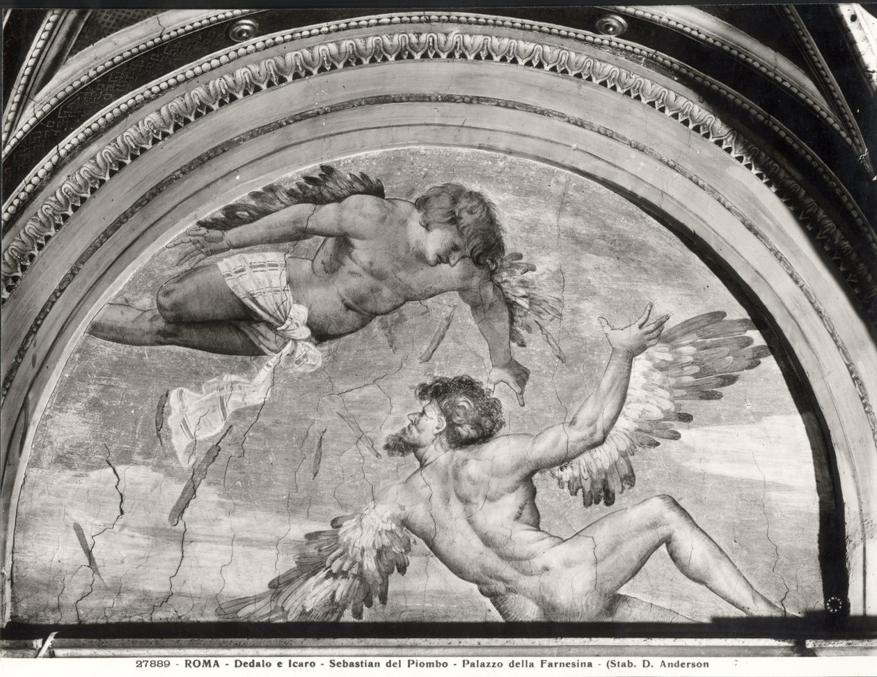 Dedal i Ikar z cyklu Metamorfozy Owidiusza, ok. 1511 autorstwa Sebastiano del c.1485 1547 Piombo