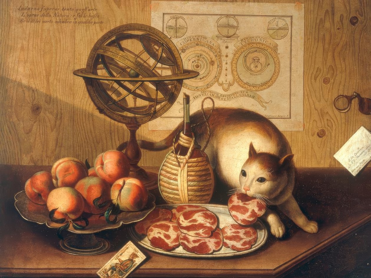 Martwa natura z kotem autorstwa Sebastiano Lazzari
