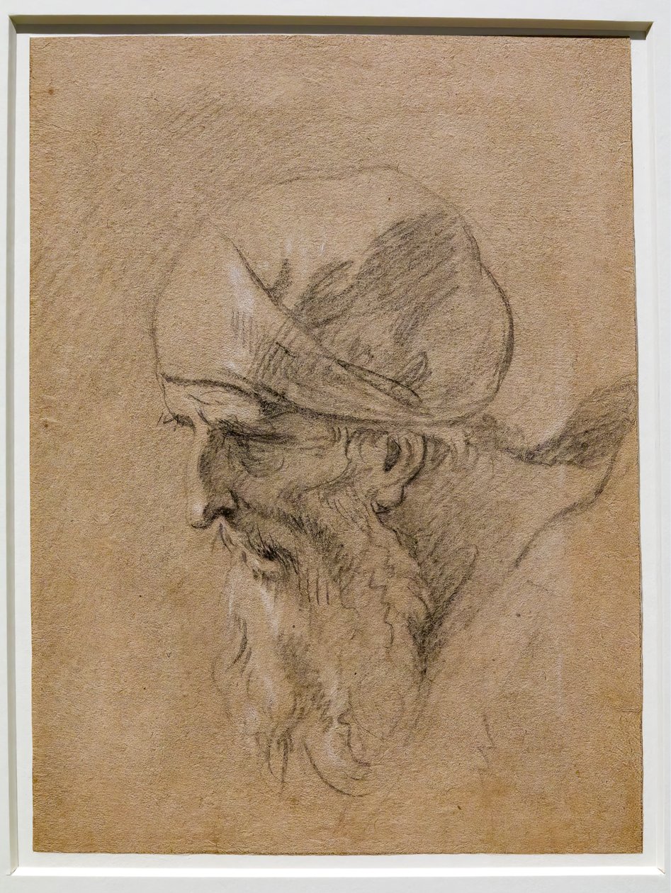 Głowa starego człowieka autorstwa Sebastiano Ricci