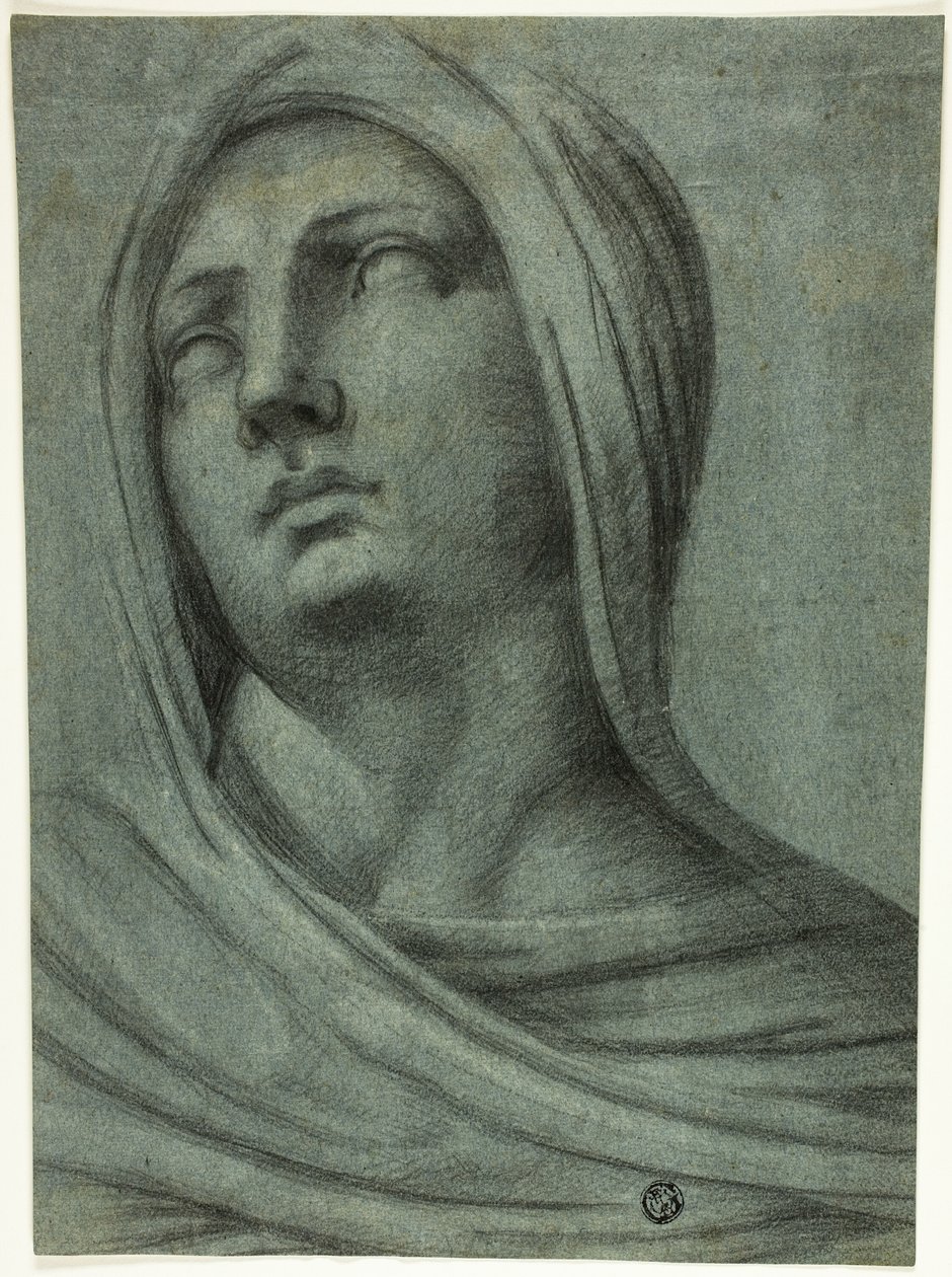 Głowa i ramiona zawoalowanej kobiety autorstwa Sebastiano del Piombo