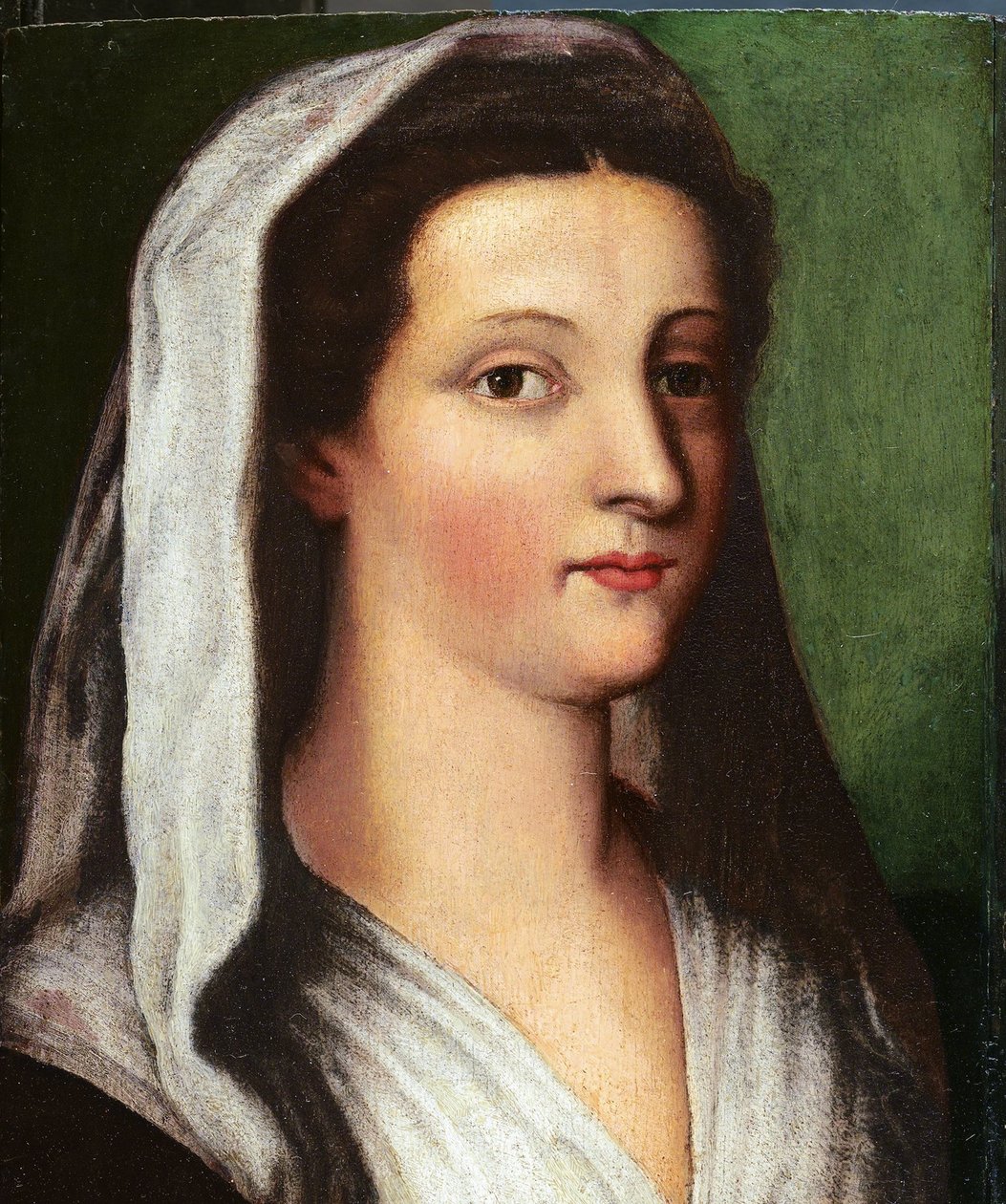 Portret Giulii Gonzagi, XVI wiek autorstwa Sebastiano del, Piombo