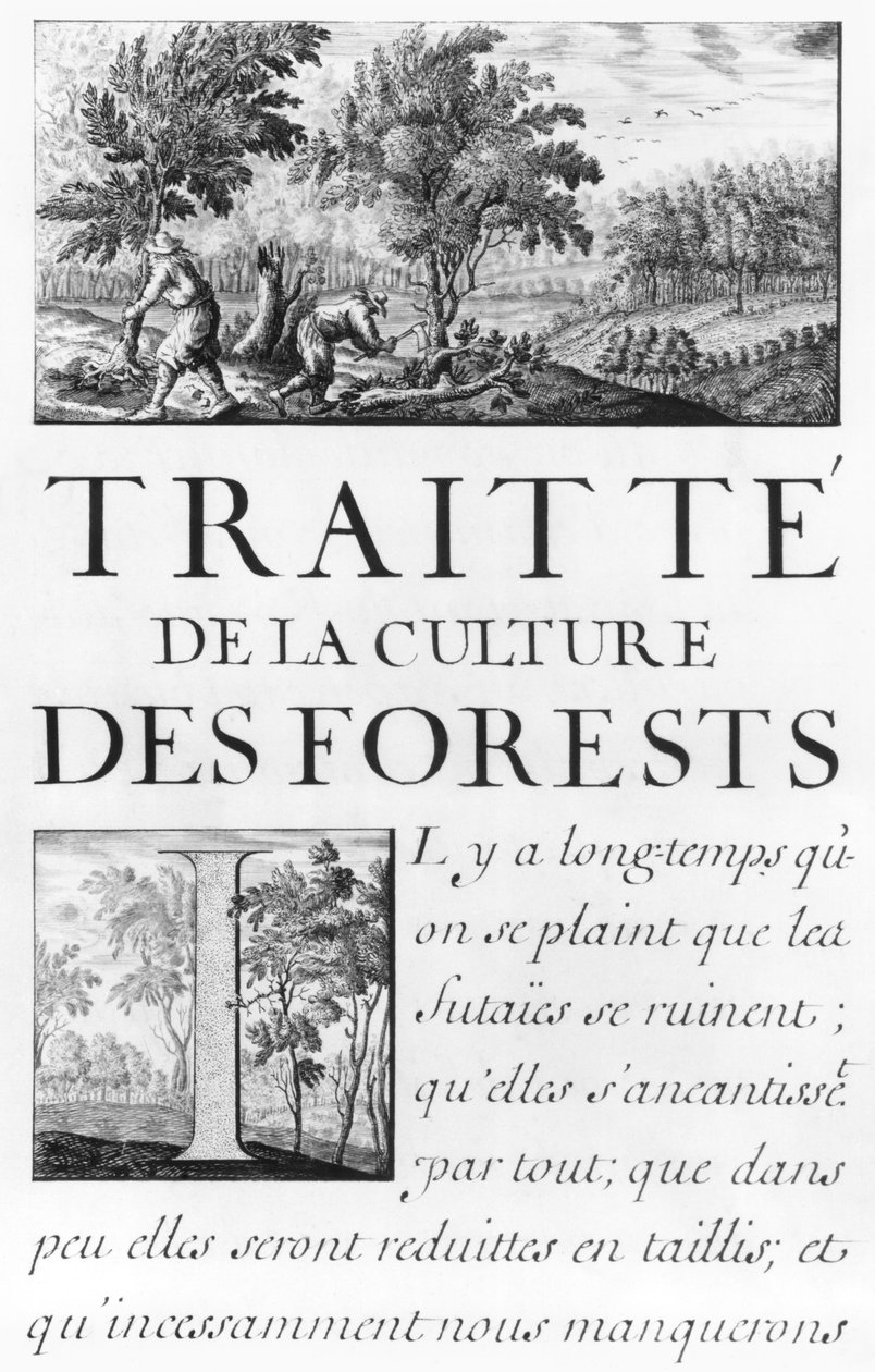Ms 260 tom IV Frontyspis „Traite de la culture des Forets” z „Oisivetes M. Vaubana zawierający kilka Memoires ou Ramas de sa way” autorstwa Sebastien Le Prestre de Vauban