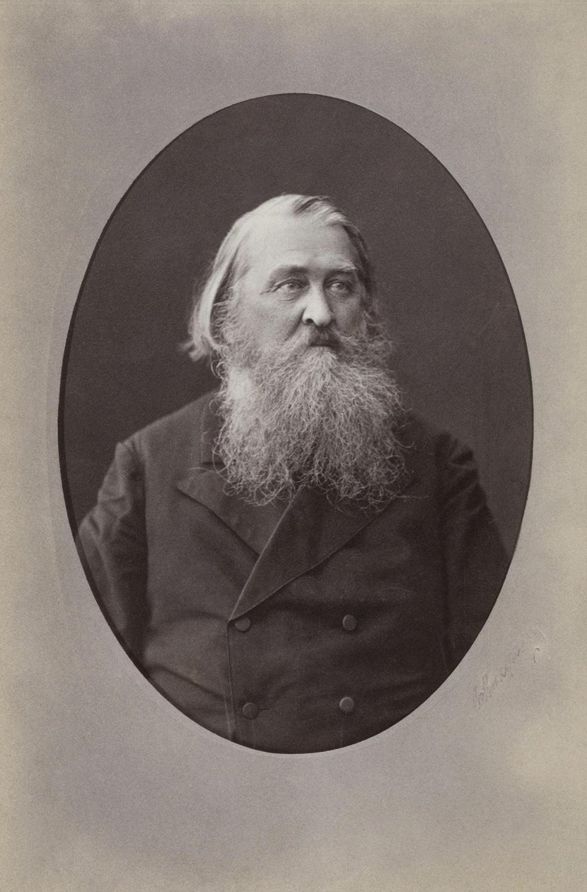 Portret poety Aleksieja Nikołajewicza Pleshcheeva 1825-1893, 1870 autorstwa Sergei Lvovich Levitsky