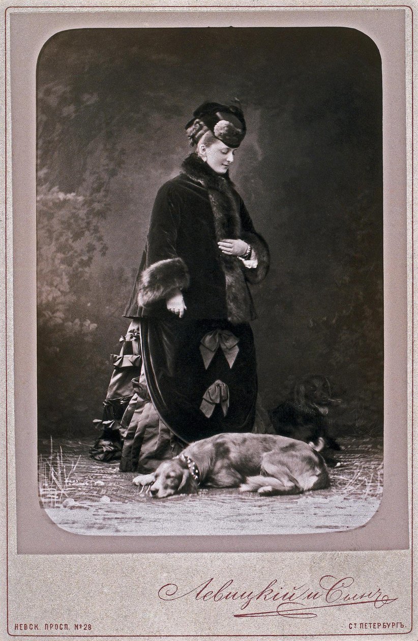 Księżniczka Ekaterina Michajłowna Dołgorukowa 1847-1922, lata 70. XIX wieku autorstwa Sergei Lvovich Levitsky