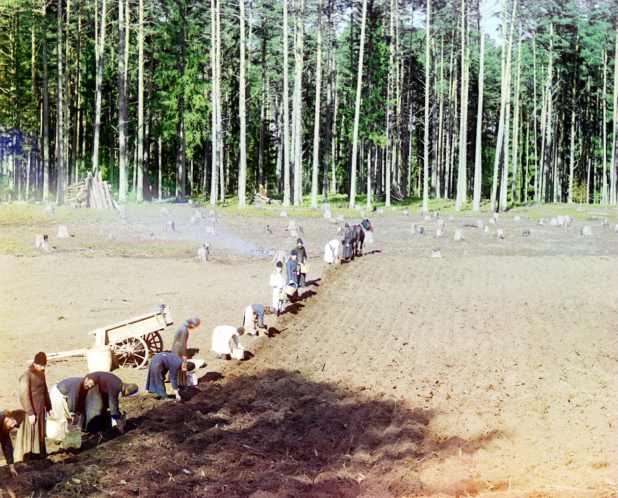Mnisi sadzący ziemniaki w pobliżu klasztoru Getsemani, rzeka Wołga, Imperium Rosyjskie, 1910 autorstwa Sergey Prokudin Gorsky