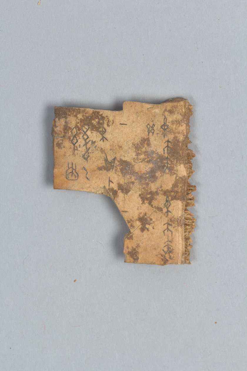 Fragment Wróżbiarskiej Kości (muszla) autorstwa Shang Dynasty Chinese School