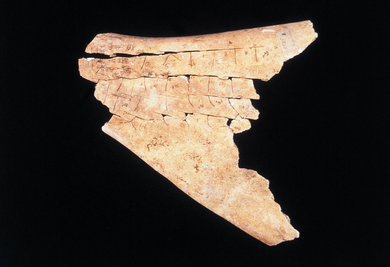Piktogram na łopatce wołu z rytuałem odpędzania niebezpieczeństwa (kość) autorstwa Shang Dynasty Chinese School