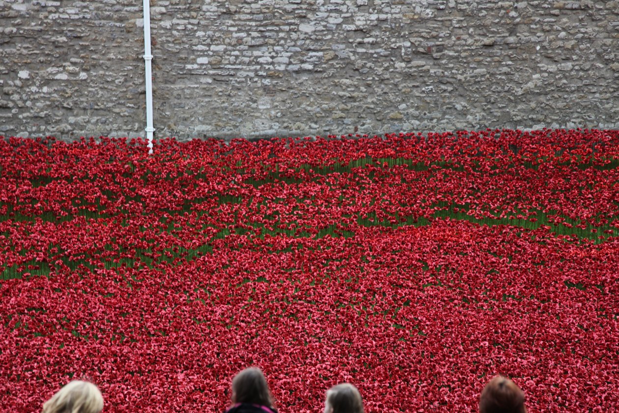 Krwawe ziemie i morza czerwieni, Tower of London, 2014. autorstwa Sheldon Marshall