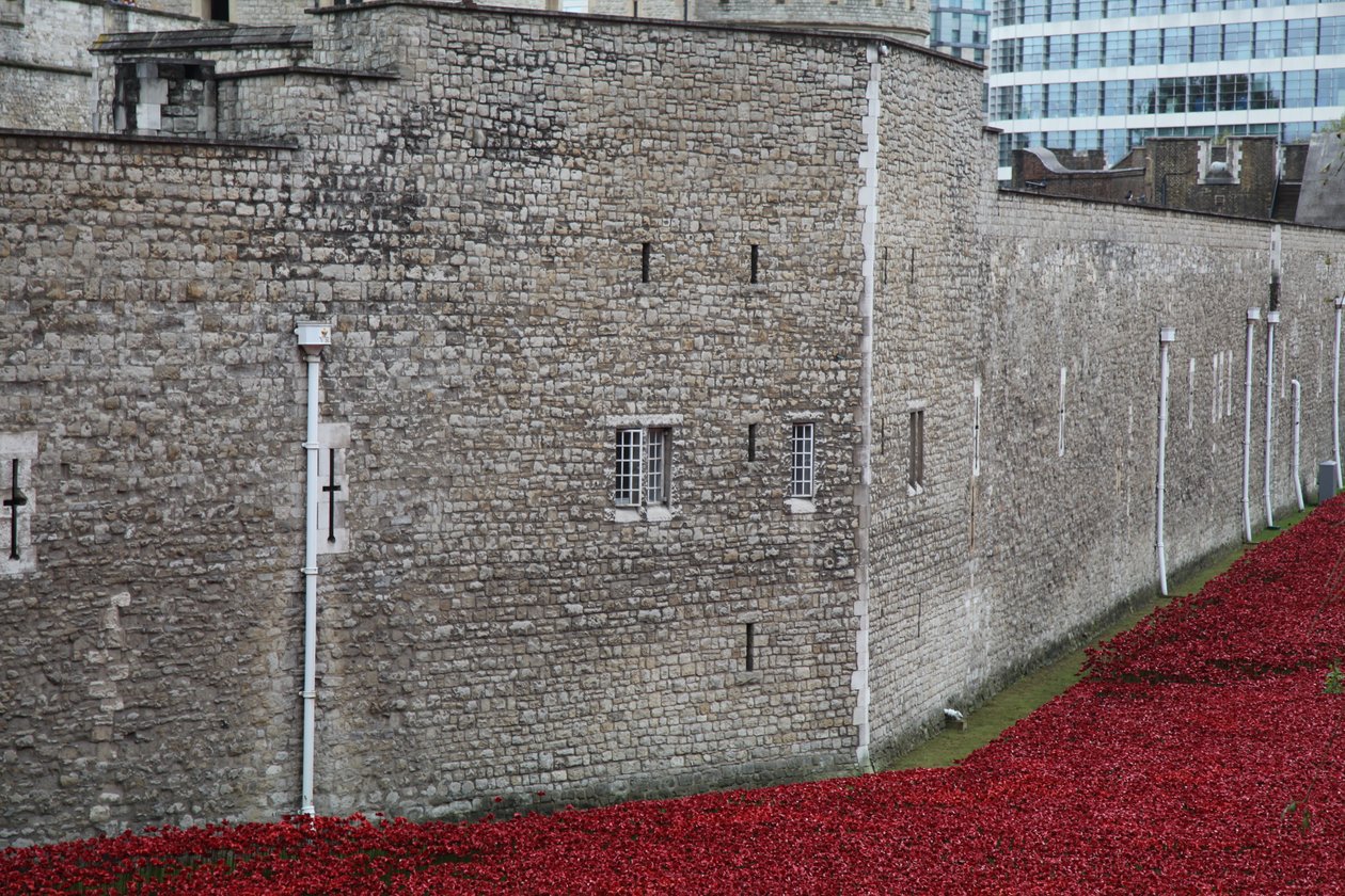 Krwawe ziemie i morza czerwieni, Tower of London, 2014. autorstwa Sheldon Marshall