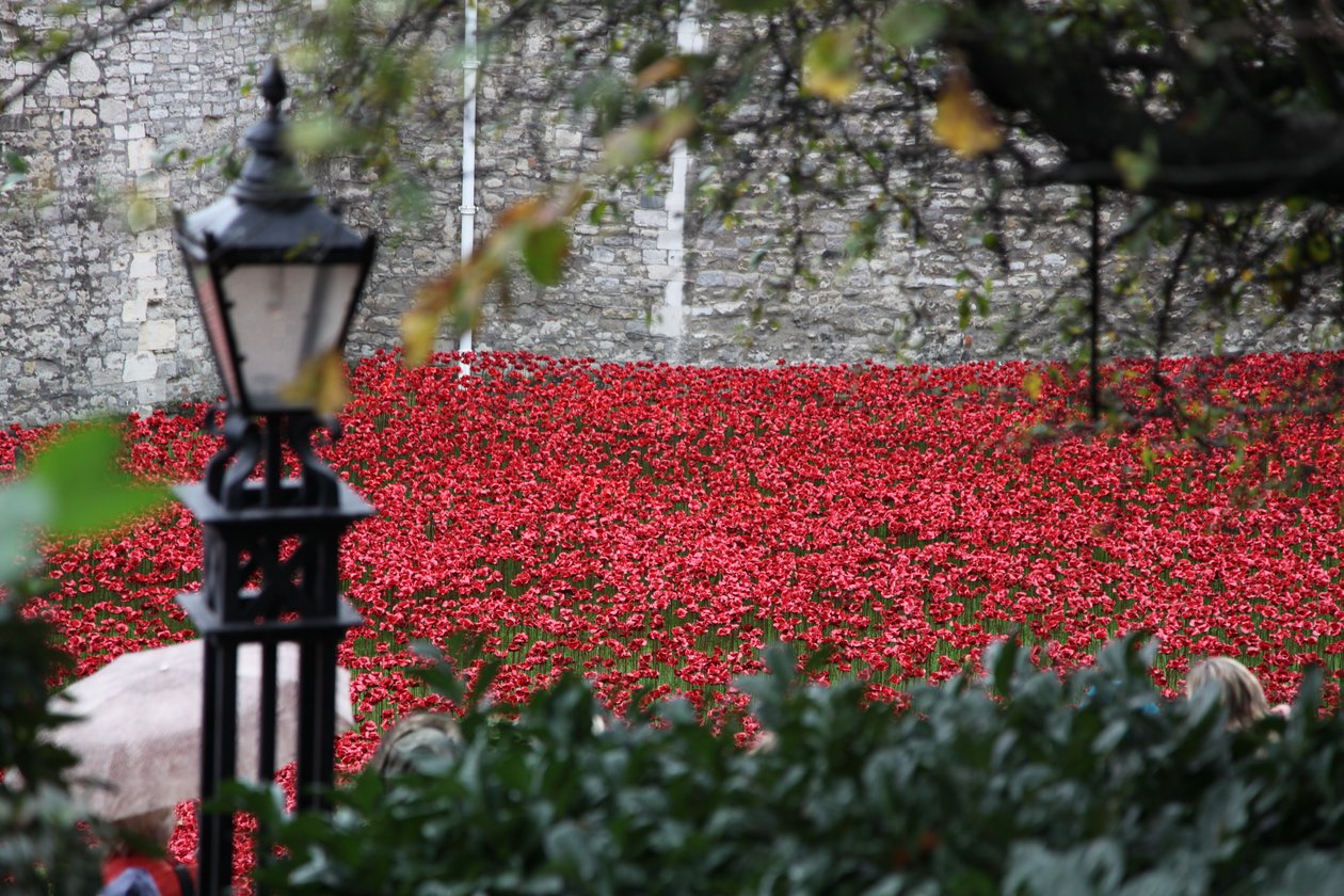 Krwawe ziemie i morza czerwieni, Tower of London, 2014. autorstwa Sheldon Marshall