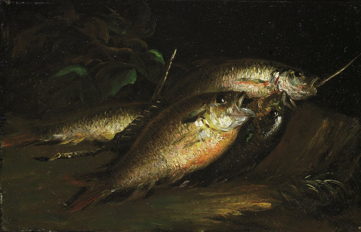 Ryba, 1842. autorstwa Shepard Alonzo Mount
