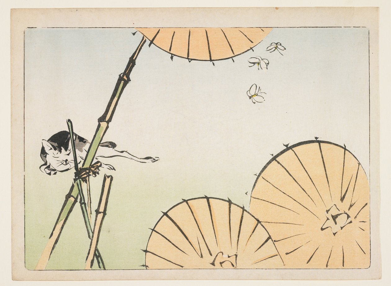 Bambus, parasole, kot i motyle autorstwa Shibata Zeshin
