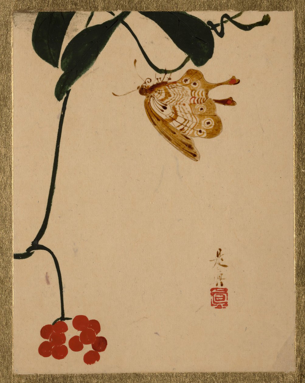 Czerwona jagoda i motyl. autorstwa Shibata Zeshin