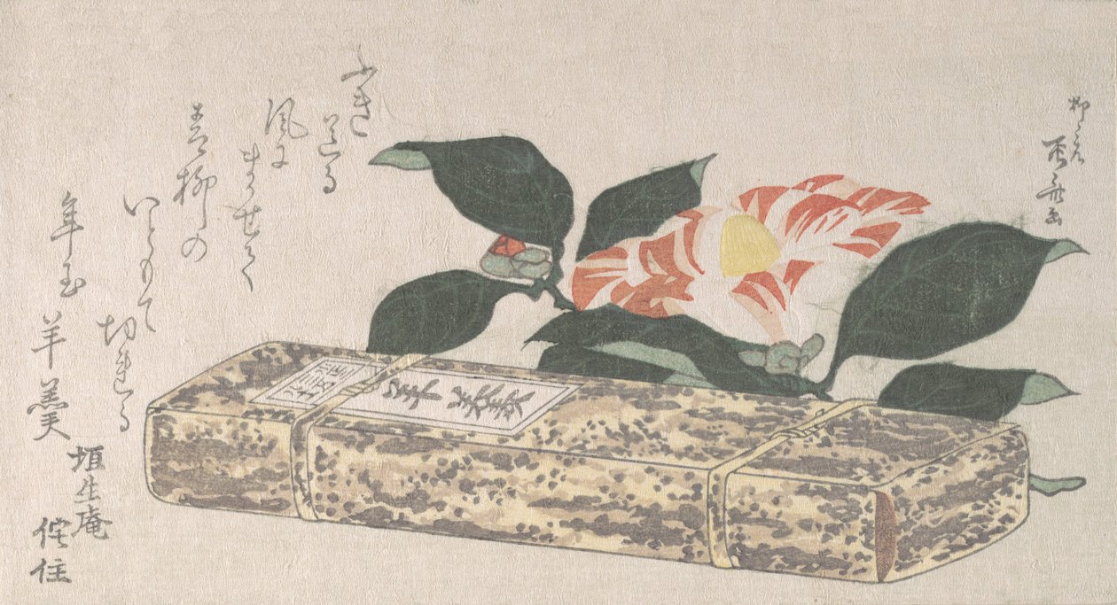 Kwiat Kamelii i Yokan rodzaj galaretki z fasoli Owinięte w Bambusową Skórę, 1811., 1811. autorstwa Shinsai