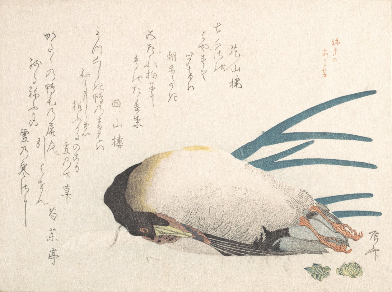 Kolekcja wiosennego deszczu Harusame shu, obj. 1: Kaczka i szalotka, 1810., 1810. autorstwa Shinsai