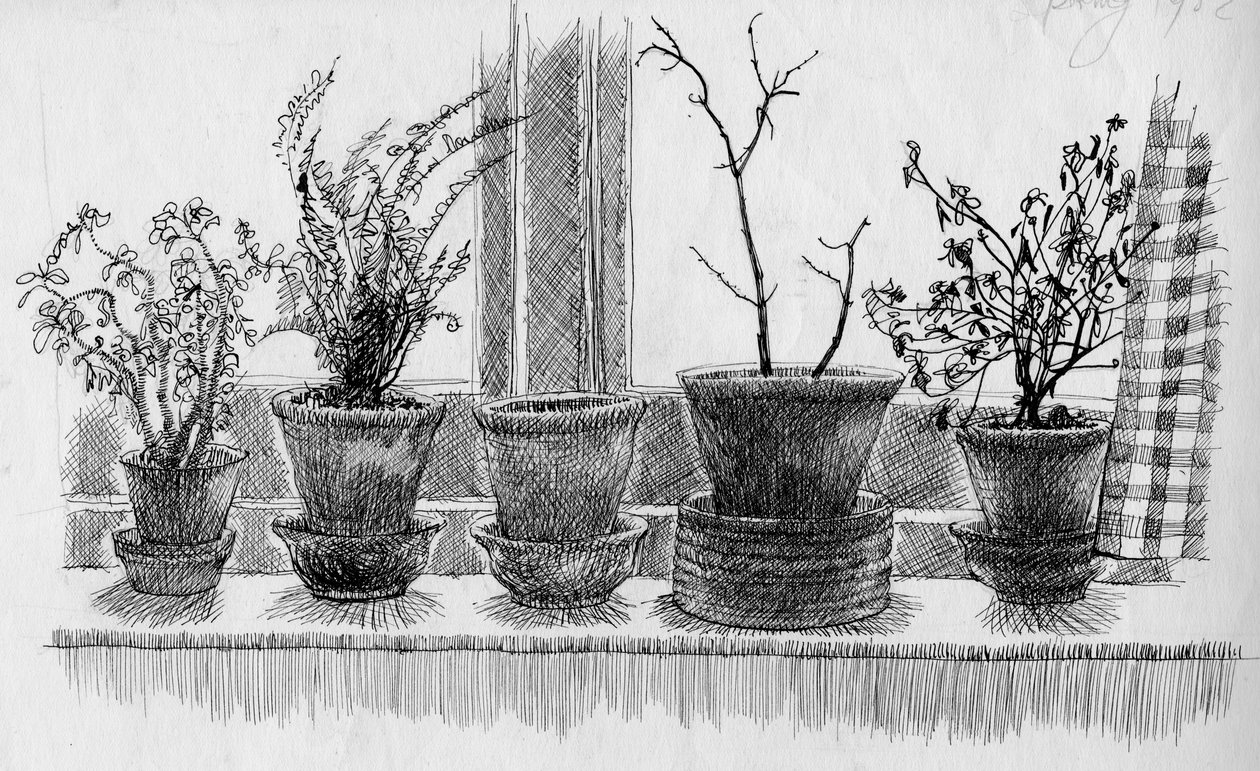 Martwe rośliny na parapecie, 1952. autorstwa Shirley Markham