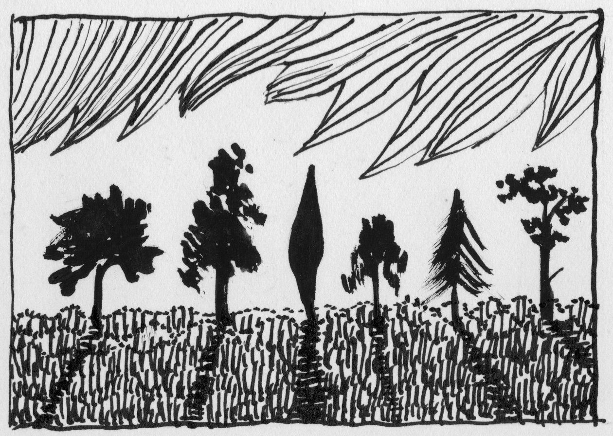 Drzewa, 1951. autorstwa Shirley Markham