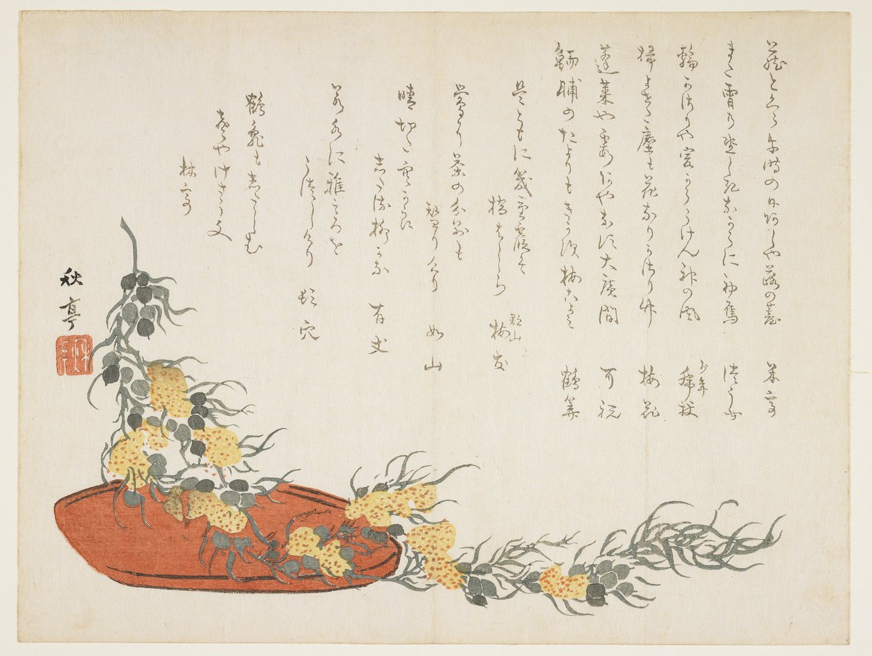 (serpentyna z winorośli), c. 1854-1859 autorstwa Shûtei Tanaka