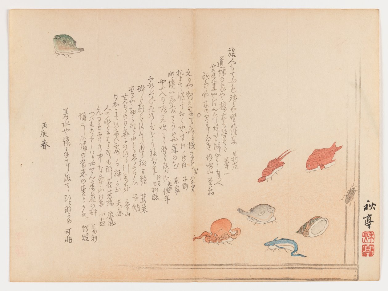 Różne ryby, wiosna 1855 (drewnodruk, format Chûban yoko-e) autorstwa Shûtei Tanaka