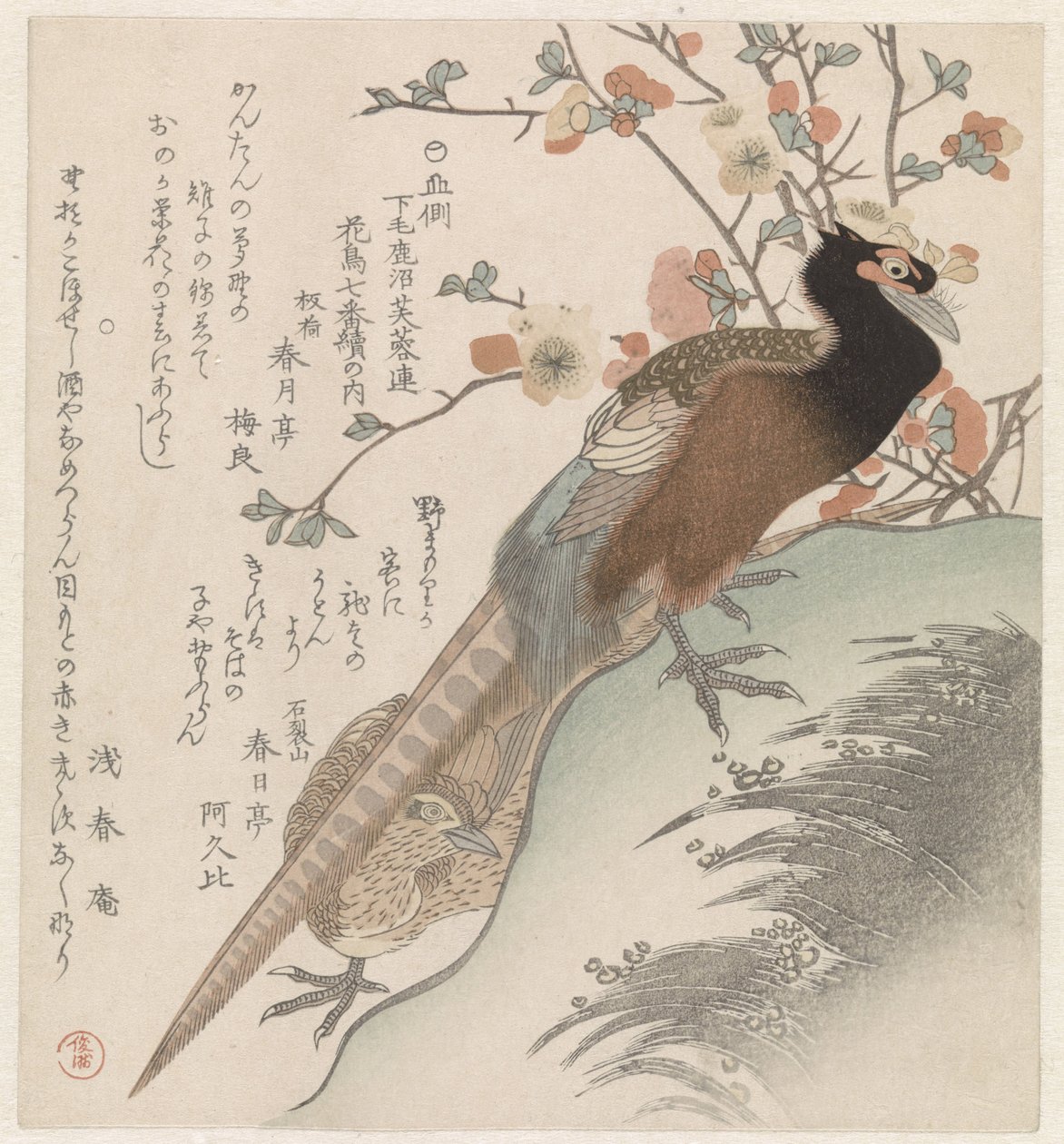 Bażanty na gałązkę kwiatową Siedem wizerunków ptaków i kwiatów dla Fuyôren Poetry Society of Kanuma z prowincji Shimotsuke (tytuł serii) Yamagawa Shimotsuke Kanuma Fuyôren kachô shichiban tsuzuki no uchi (tytuł serii na obiekcie) autorstwa Shunman