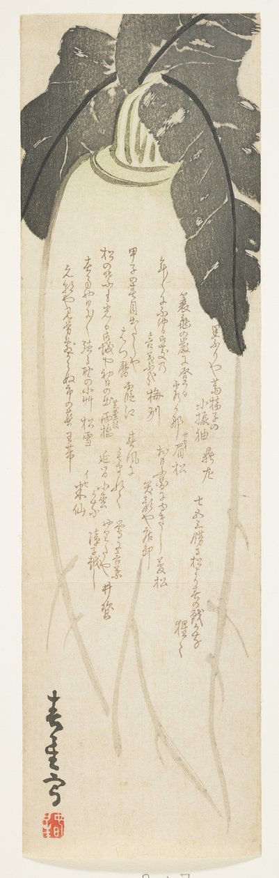 Rzodkiew Daikon, styczeń 1864 (kolorowy drzeworyt) autorstwa Shunsei