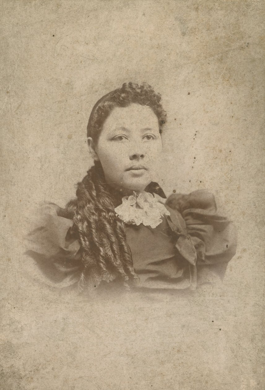 Karta gabinetowa niezidentyfikowanego członka rodziny Vassów, 1880-1917. autorstwa Sidney Rufus Alley
