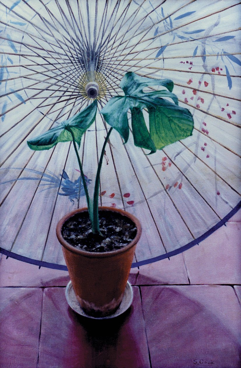 Chiński parasol autorstwa Simon Cook
