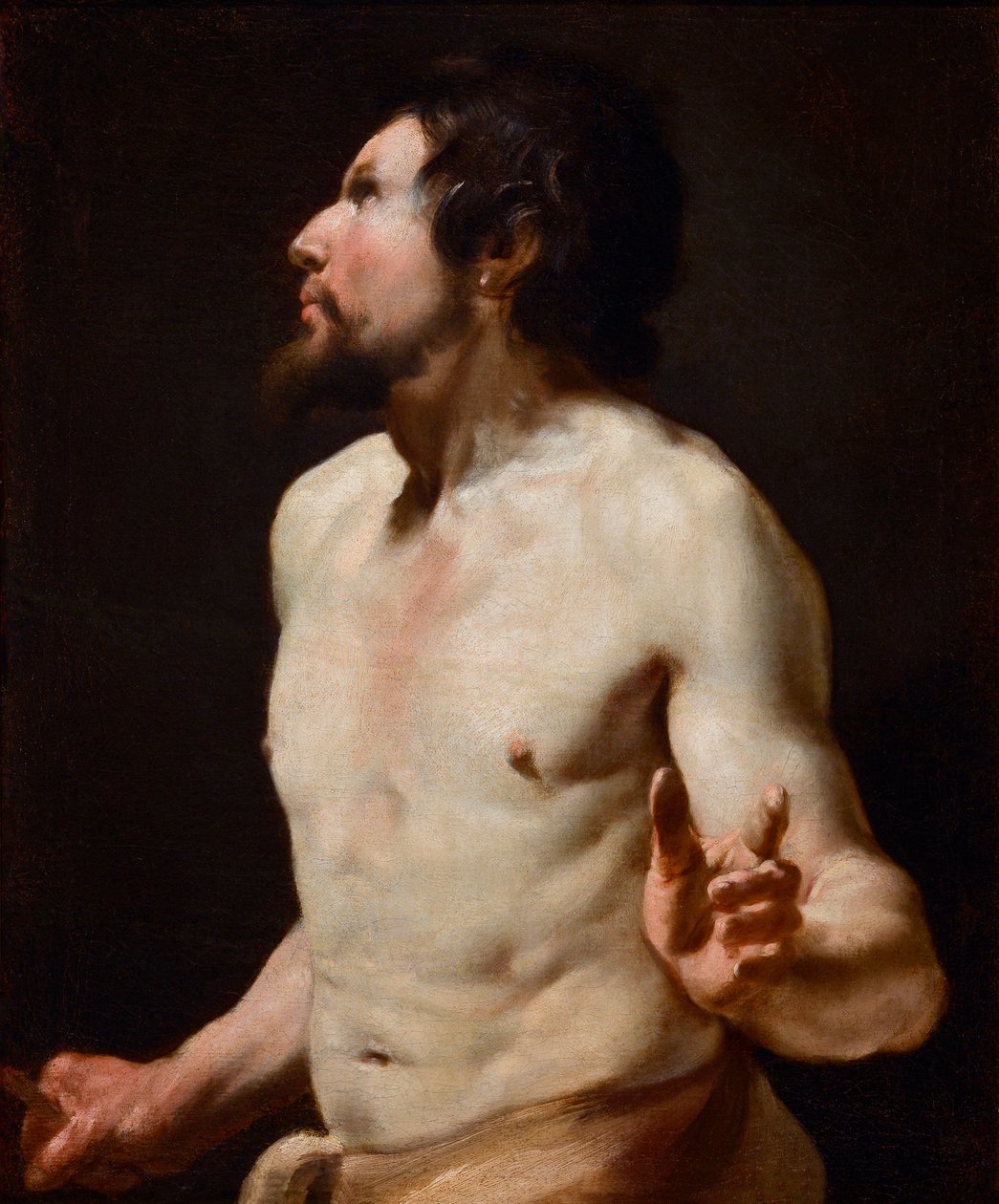 Studium torsu Malarstwo ze szkoły Simona Voueta (1590-1649) (malarstwo) autorstwa Simon (circle of) Vouet