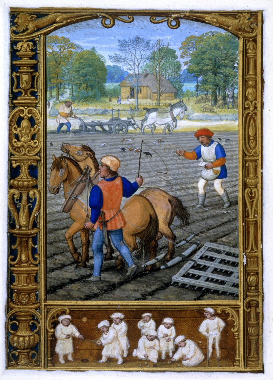Dodać. 24098, f.26v wrzesień: Orka i siew, z księgi godzin lub książki o golfie, c.1520-30 (welum) autorstwa Simon (workshop of) Bening