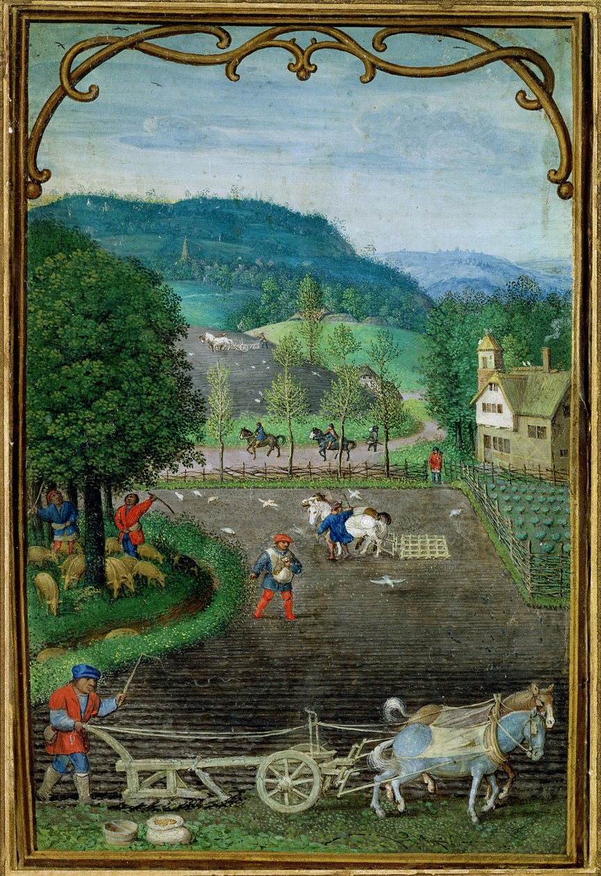 Dodaj 18855 październik: orka i siew, z Księgi godzin, ok. 1540 autorstwa Simon Bening
