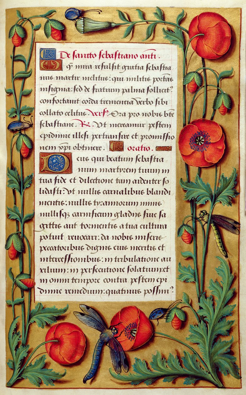 Dodaj 18855 f.103 Maki i ważki, z Księgi Godzin, ok. 1540 (welum) autorstwa Simon Bening