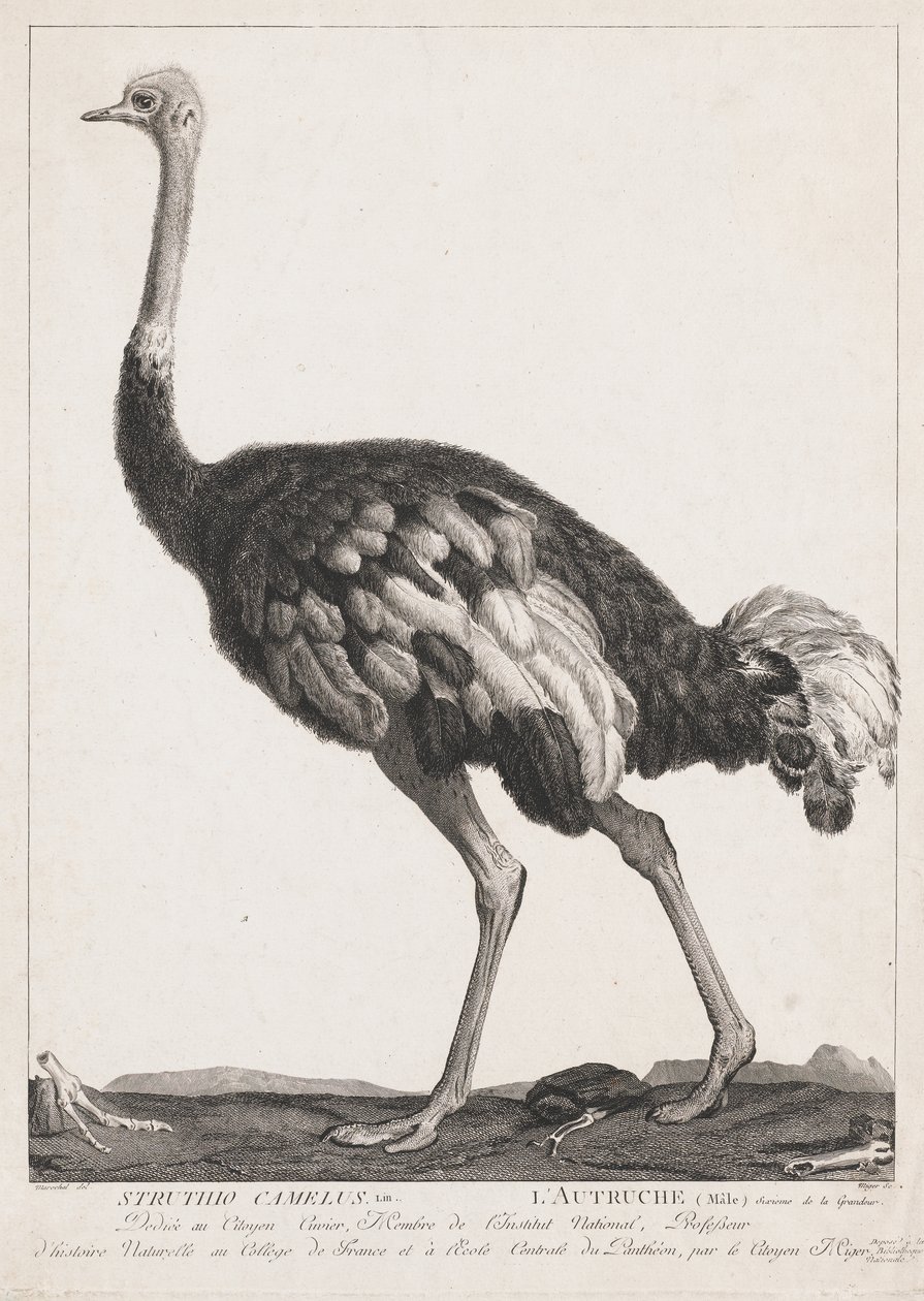  autorstwa Simon Charles Miger