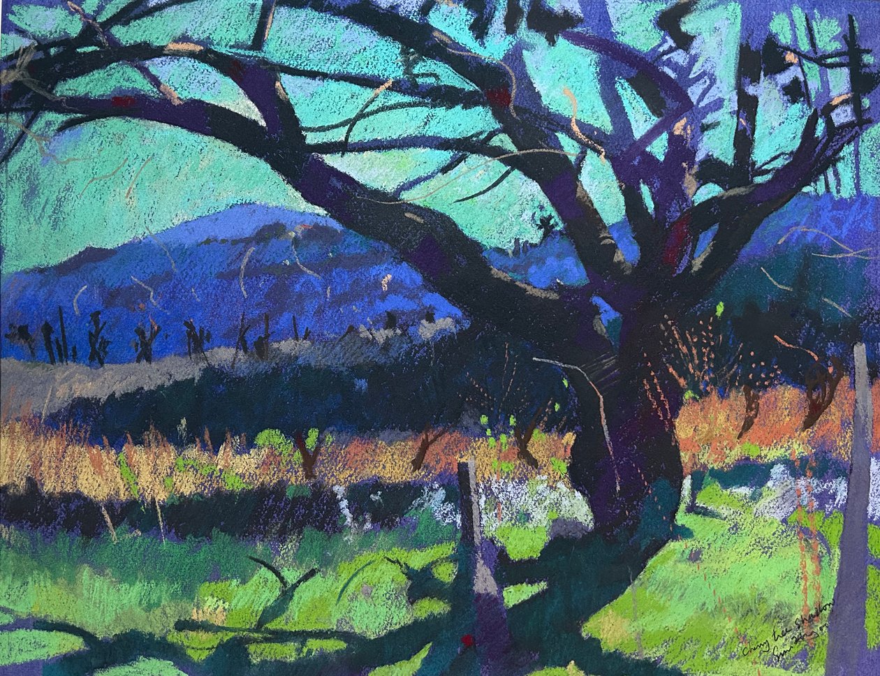 Cień drzewa wiśniowego, 2000 (pastel) autorstwa Simon Fletcher