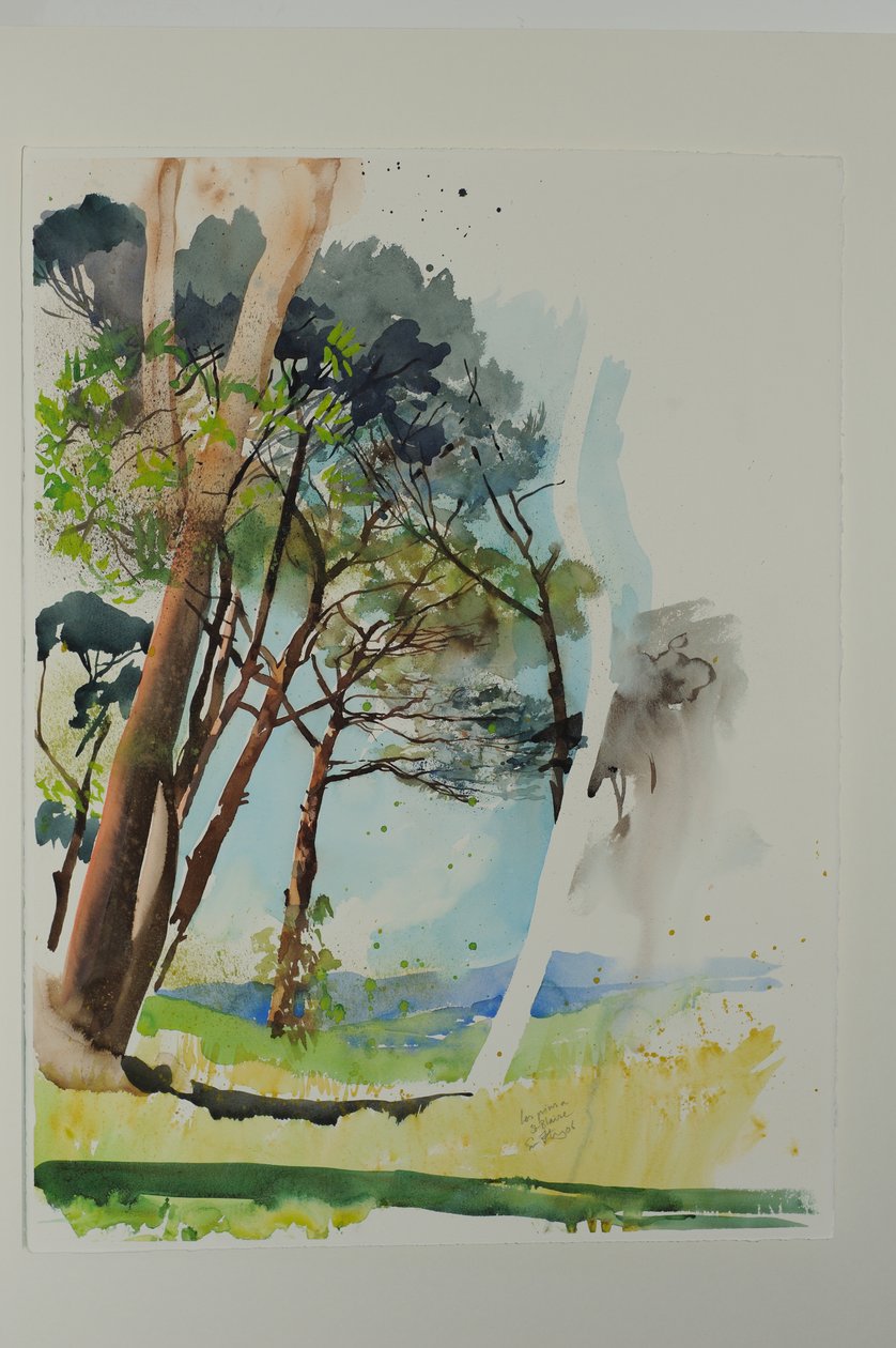 Sosny w St. Blaise, 2004 (akwarela na papierze) autorstwa Simon Fletcher