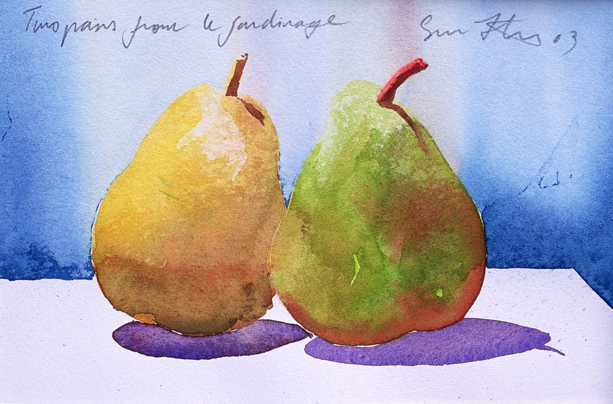 Dwie gruszki z ogrodu, 2003 (akwarela na papierze) autorstwa Simon Fletcher