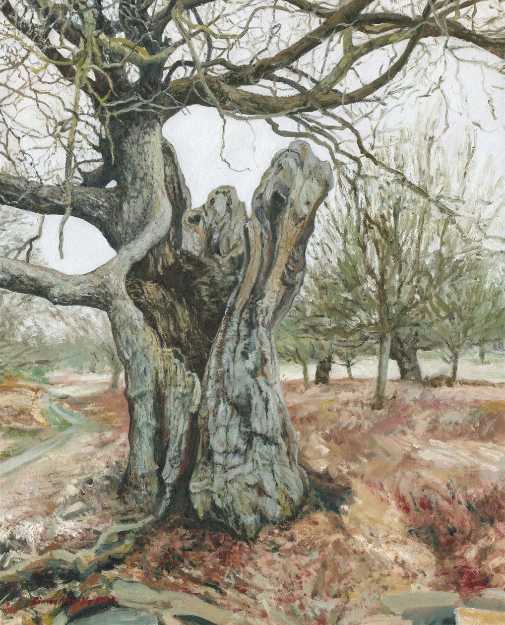 Stare drzewo, Richmond Park, 2018 (olej na płótnie) autorstwa Simon Neville
