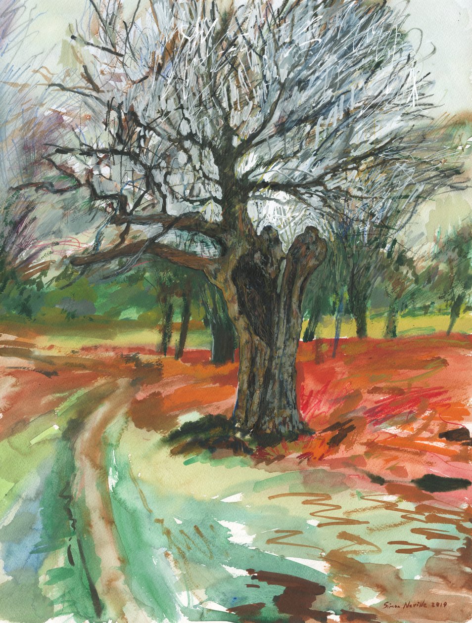 Stare drzewo, Richmond Park, 2019 (ołówek akwarelowy i farba akrylowa na papierze) autorstwa Simon Neville