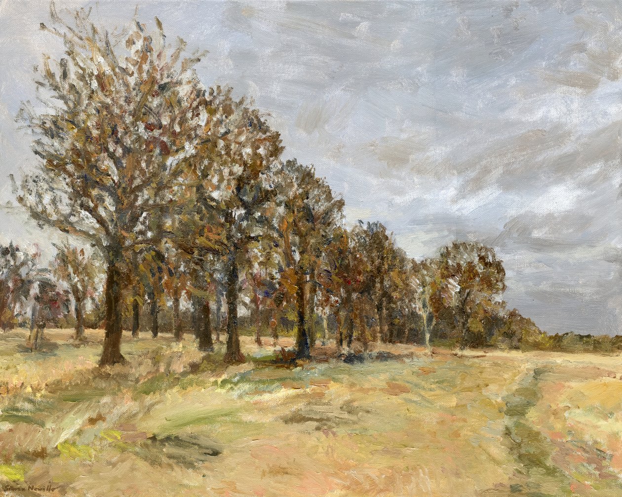Woodland, Richmond Park nr 6, 2022 (olej na płótnie) autorstwa Simon Neville